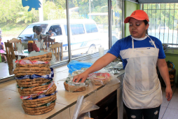 Crean microempresas con lirio acuático extraído del lago