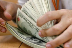 Hasta 22.45 lempiras llegaría el dólar en 2013