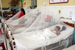 'Hay epidemia por dengue”