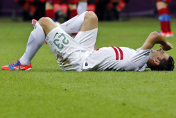 Helder Postiga se despide de la Eurocopa por lesión