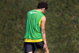 Fábregas estará tres semanas de baja por una rotura fibrilar