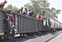 Rescatan a 102 hondureños secuestrados en México