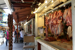 Temen que escasez de ganado empeore en San Pedro Sula