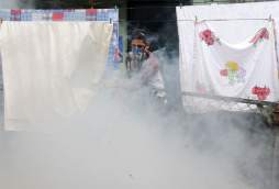 Mañana se sabrá si se decreta o no emergencia por dengue en Honduras