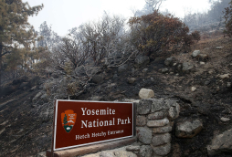 Incendio forestal en California