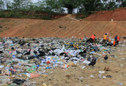 Estancado está proyecto de relleno sanitario para el Valle de Sula