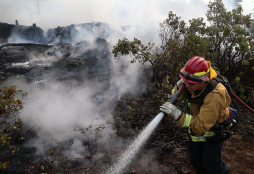 Incendio forestal calcina 21,800 hectáreas