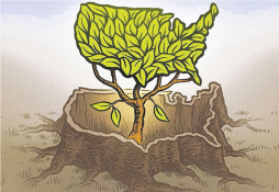 El nuevo mercado emergente: Estados Unidos