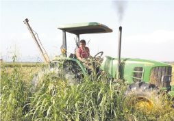 El socialismo venezolano impulsa las exportaciones de otros países