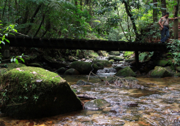 Más de 14 descombros se han encontrado en el Cusuco