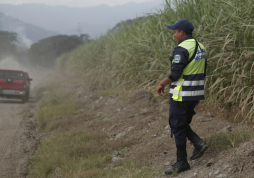 En medio de cañeras encuentran cadáver