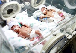 Nacen trillizas en el Mario Rivas y urgen de ayuda