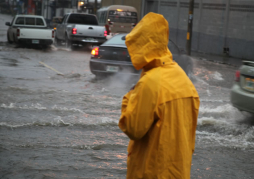 Reportan casas inundadas y árboles caídos en San Pedro Sula