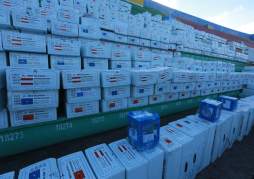 Honduras: Tribunal Electoral inicia el escrutinio de votos