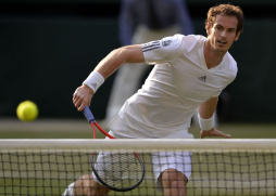 Murray remonta y jugará la final ante Djokovic