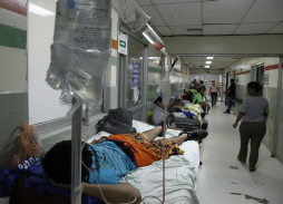 Fumigarán 16 mil casas para combatir dengue