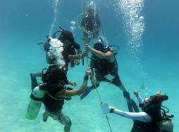 Utila, la isla hondureña perfecta para los amantes del buceo
