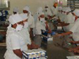 Siguen pérdidas por camaroneras