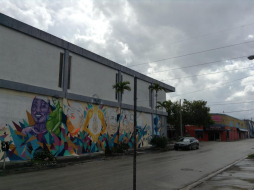 Artista dominicano Ubiera dedica un mural a los indocumentados