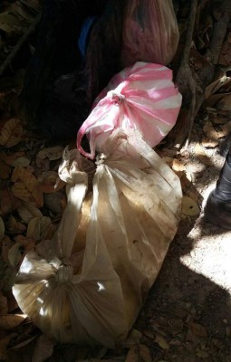 Decomisan químicos para fabricar bombas caseras