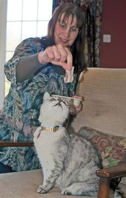 Tiburón salta a bote de pescador