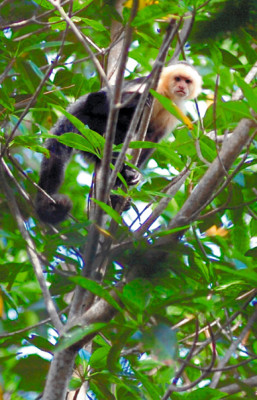 Laguna de Los Micos peligra por sedimentación