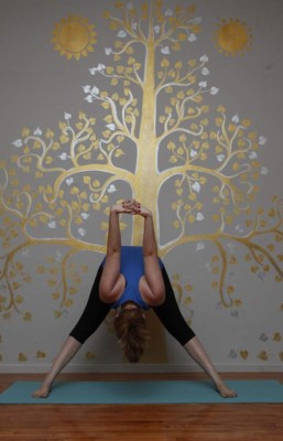 El yoga, mente y cuerpo sano