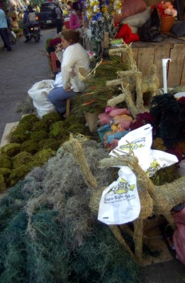 Listos L400 millones para créditos a pymes