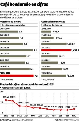 Con café certificado productores buscan contrarrestar caída de precios