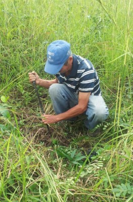 Mujer que descuartizó a su marido lo había mandado a comprar gasolina