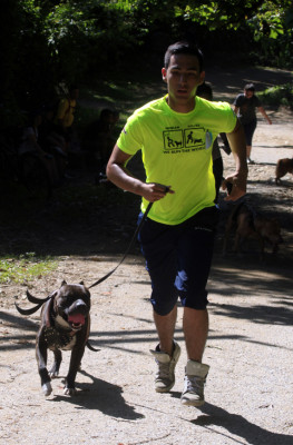 Pitbulls lo dieron todo en el segundo DogRun en San Pedro Sula