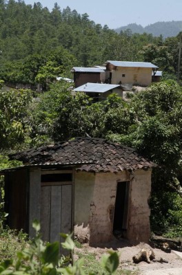 Condenados al olvido, tolupanes luchan por sobrevivir en la Montaña de la Flor