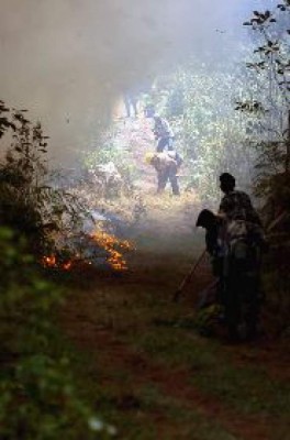 Muere joven panameña en incendio forestal