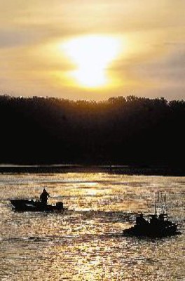 Gobierno prohíbe la pesca del caracol gigante