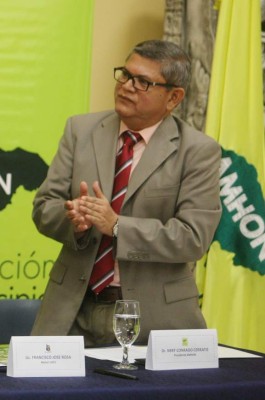 Medidas frenan el avance del gorgojo descortezador