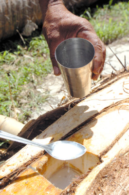 Honduras: Llega el verano con el vino de Coyol