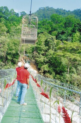 Construyen puente hamaca en el Cangrejal