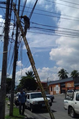 Más de 24,000 lámparas led instalarán en San Pedro Sula este año