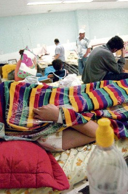 Casi 10 mil casos de dengue clásico