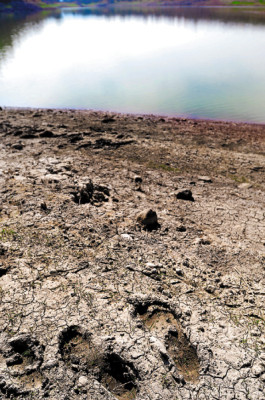 Con calor...y sin agua