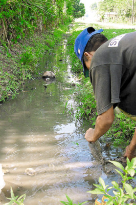 BID retomará construcción de alcantarillado sanitario