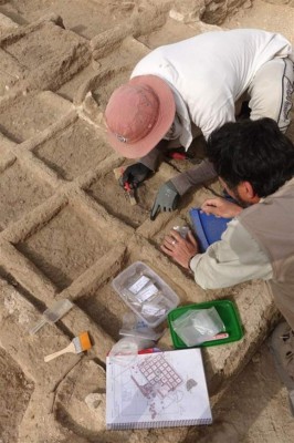 Descubren en Egipto un jardín funerario de hace 4,000 años