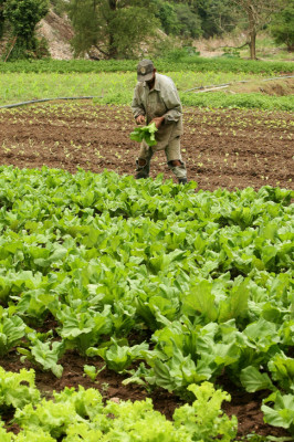 Nuevos empleos y reducción del gasto en primer mes de Gobierno de Honduras