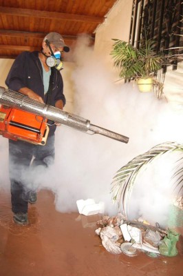 Alarmante aumento de casos de chikunguña en Honduras