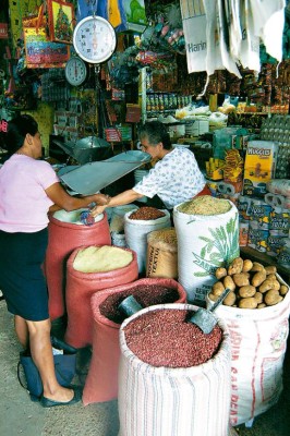 Habrá préstamos para cultivar arroz y maíz