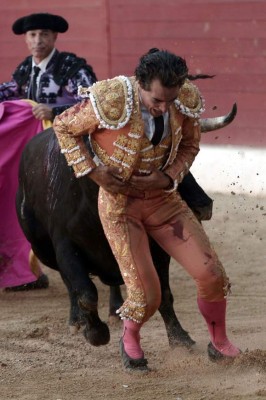 Muere torero español tras mortal cornada en el pulmón