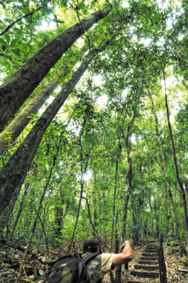 Los secretos de La Tigra