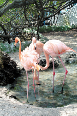 Islas del Rosario, el tesoro escondido de Colombia