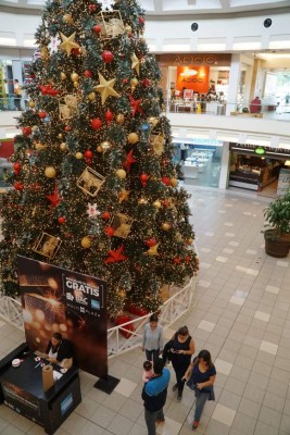 Comercio busca recuperarse y lograr metas de la temporada