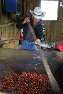 Santa Rosa de Copán, la capital del buen café